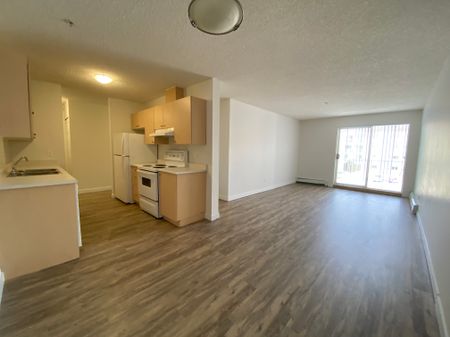 Stonebridge on Bothwell Drive - Photo 2