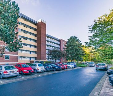 Gut geschnittene 3-Zimmer-Wohnung frisch renoviert mit Balkon - Photo 5