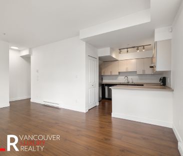 5649 Kings Road, #207 - Photo 5