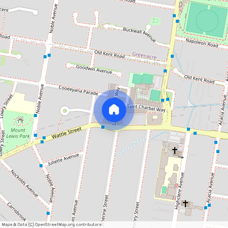 29 St Charbel Way, NSW 2196, Punchbowl