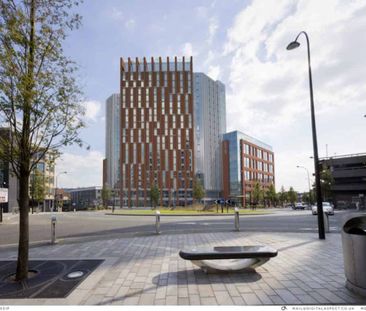 Gold Studio - Photo 5