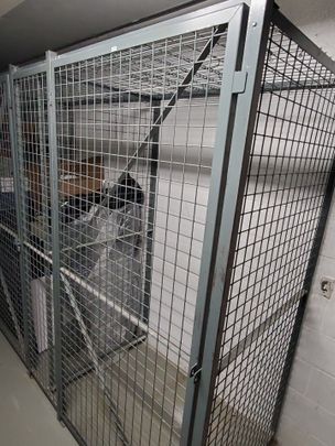 For Lease - 256 Doris Avenue Unit# 1011, Toronto, Ontario - Photo 1