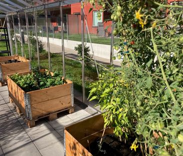 Sagogatan 3E - Photo 4