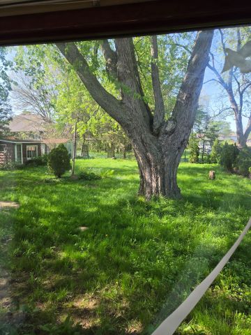 For Lease - 522 Woodlawn Road, Welland, Ontario - Photo 2