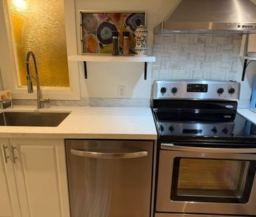 For Lease - 18 Pape Avenue Unit# basement, Toronto, Ontario - Photo 2