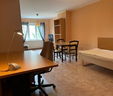 Möblerad 1:a i Centrum - Foto 3