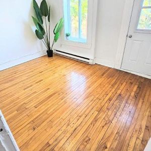 1 CH - 1 SDB - Montréal - $1,250 /mo - Photo 2