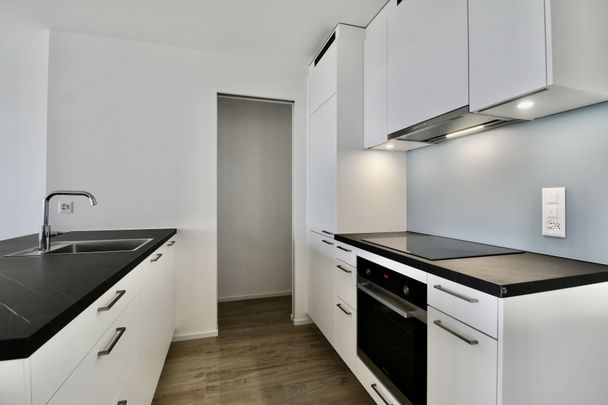 Appartement récent et lumineux de 2 pièces, avec vue et grande terrasse - Photo 1