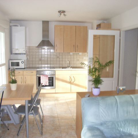 Location Appartement 47.01 M² BUSCHWILLER 620 € - Photo 1