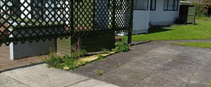 35 Ward Street, Kawerau - Photo 1