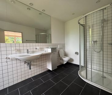 Einzigartige 4.5-Zimmer-Attikawohnung im bevorzugten Steingrubenquartier - Photo 4