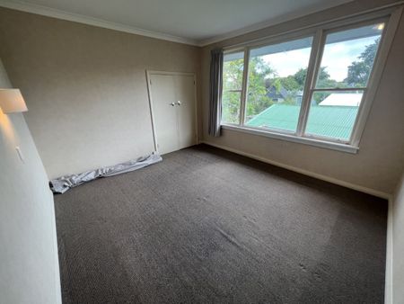293 Park Road, Hokowhitu, Palmerston North - Photo 3