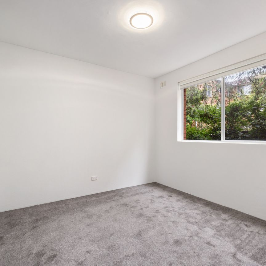 2/56 Pacific Parade, Dee Why NSW 2099 - Apartment For Rent | Domain - Photo 1