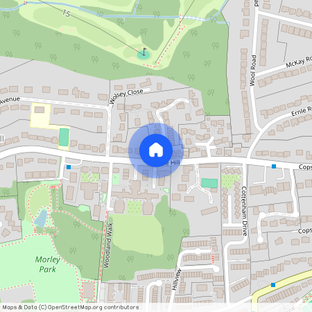 Chambers Park Hill, London