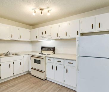 Renovated Suite - 1 Bedroom - Photo 1