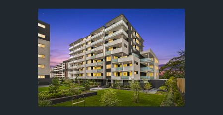 Oversized Two Bedroom Apartment - Photo 3