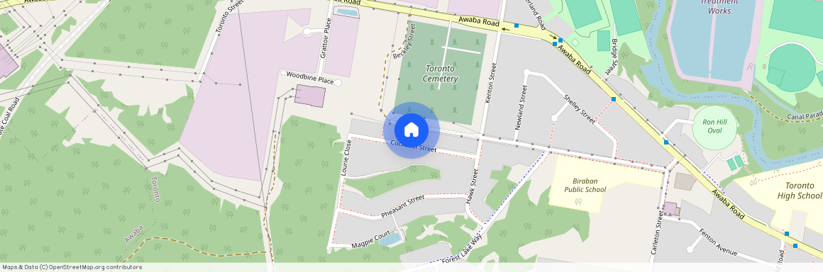 20 Cockatiel Street, NSW 2283, Toronto