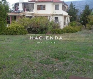 Μονοκατοικία για ενοικίαση Άσπρα Χώματα (Λουτράκι-Περαχώρα) - Photo 1