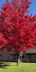 4 1/2, 2ième Étage à $1,545 - Photo 4