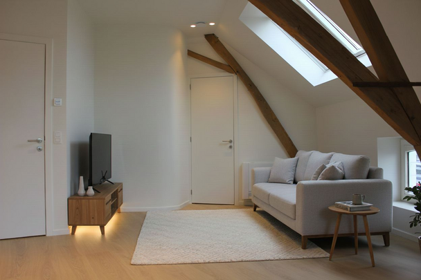 Nieuw appartement met 2 slaapkamers en terras in het hartje van Zottegem - Foto 1