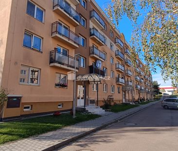 Pronájem bytu 2+1 50 m², Zelená, Luštěnice - Photo 4