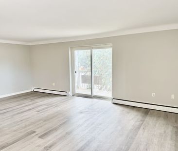 For Lease - 286 VINE Street Unit# 7, St. Catharines, Ontario - Photo 2