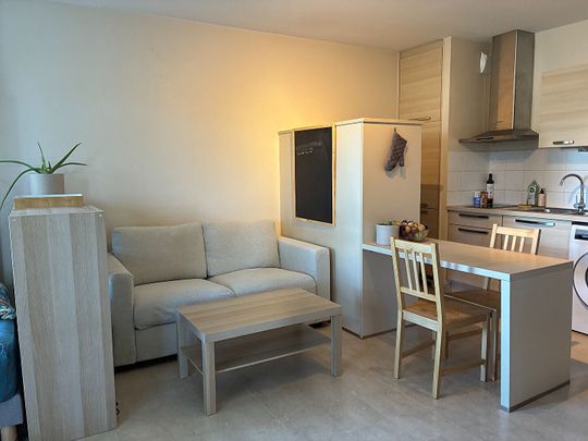 Appartement Lyon 1 pièce(s) 34 m2 - Photo 1