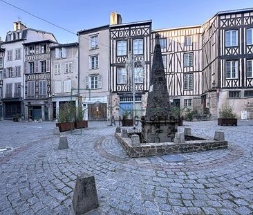 Location Appartement 1 pièce 21m² - Photo 4