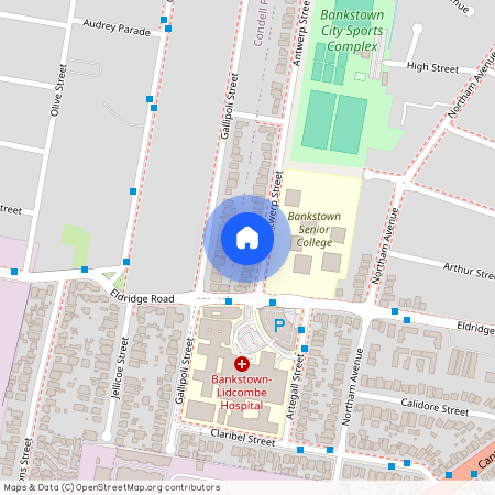 70A Antwerp Street, NSW 2200, Bankstown