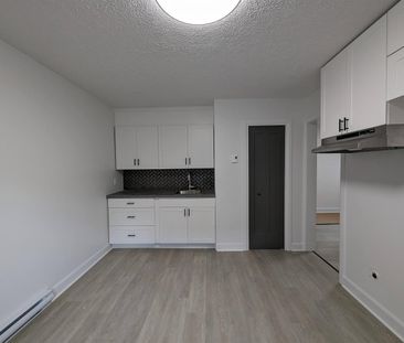 Immeuble - 175 à 187 King Ouest Logement 3 Et Demi (refait à Neuf) - Photo 2