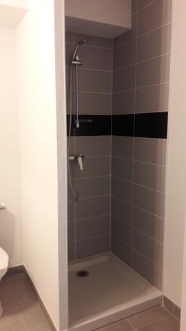 Location Appartement 1 pièce 22m² ISLE 87170 - Photo 3