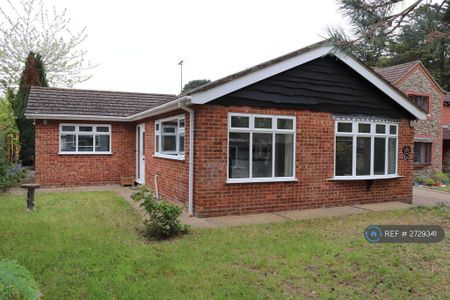 3 bedroom bungalow to rent - Photo 4