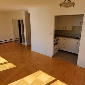 Large Bright Pet Friendly Studio available Dec. 15th - Photo 4