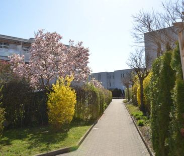 3-Raum-Wohnung mit Balkon im 2. Stock und fix zugeordnetem PKW Abst... - Foto 3