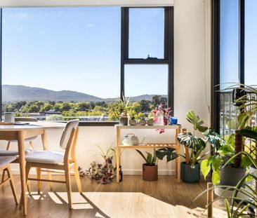 510/19 Challis St, Dickson ACT 2602 - Apartment For Rent | Domain - Photo 2