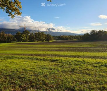 2 Zimmer, 44 m² - Foto 3