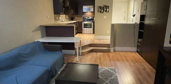 Furnished Bachelor Studio -VGH Great Location! - Photo 2