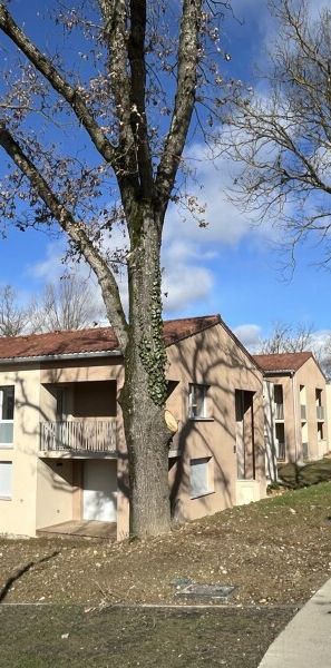 Location Appartement 2 pièces 41m² EAUNES 31600 - Photo 1