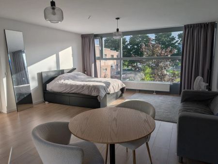 Chambre meublée Leo Fallplantsoen, Utrecht - À louer - Foto 3