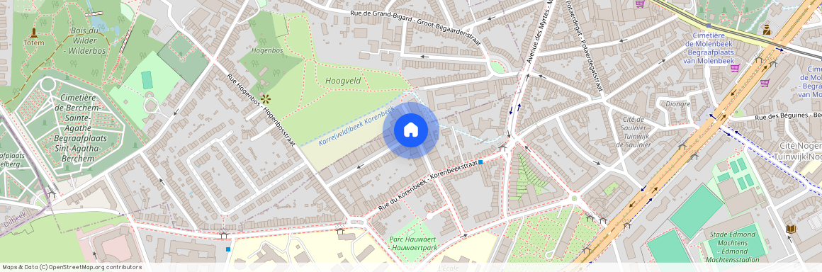 Goede Herderstraat, 59, 1080, Sint-Jans-Molenbeek