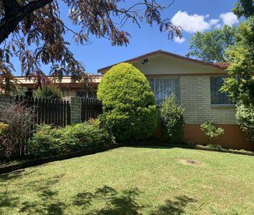 Sitting High on Highland - Photo 4