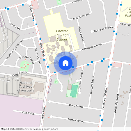 40A Curtis Road, 2162, Chester Hill Nsw