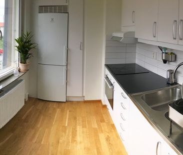 Växthusvägen, Bro - Photo 4