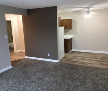 Small Pet Friendly Well Maintained 1 Bedroom Suite - Photo 1