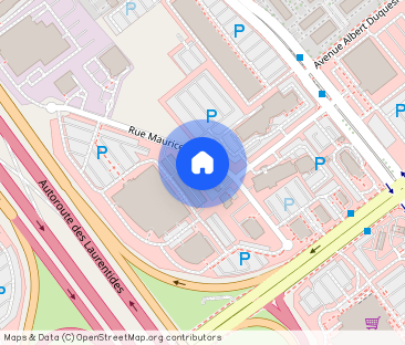 Laval Center For Mature Person / Mature Male Bachelor Basement with... - Photo 1