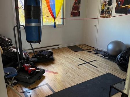 8284 Boul. Lacordaire - Photo 3