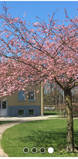 Norrevångsgatan 41 B, Vellinge - Photo 1