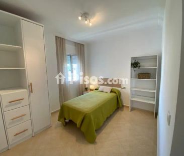 Piso en alquiler en los Cassinis - Photo 3