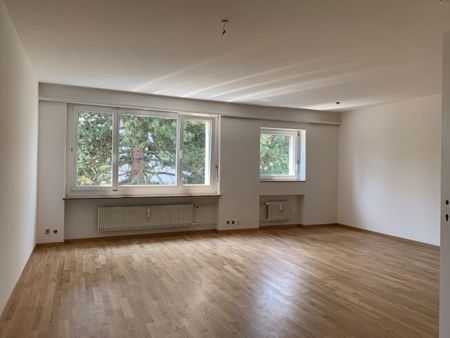 RENT WITHOUT DEPOSIT - LIVING IN THE BEAUTIFUL TOWN OF MÜNCHSTEIN - Foto 5