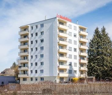 3 Zimmer, 71 m², 1. Stock - Foto 5